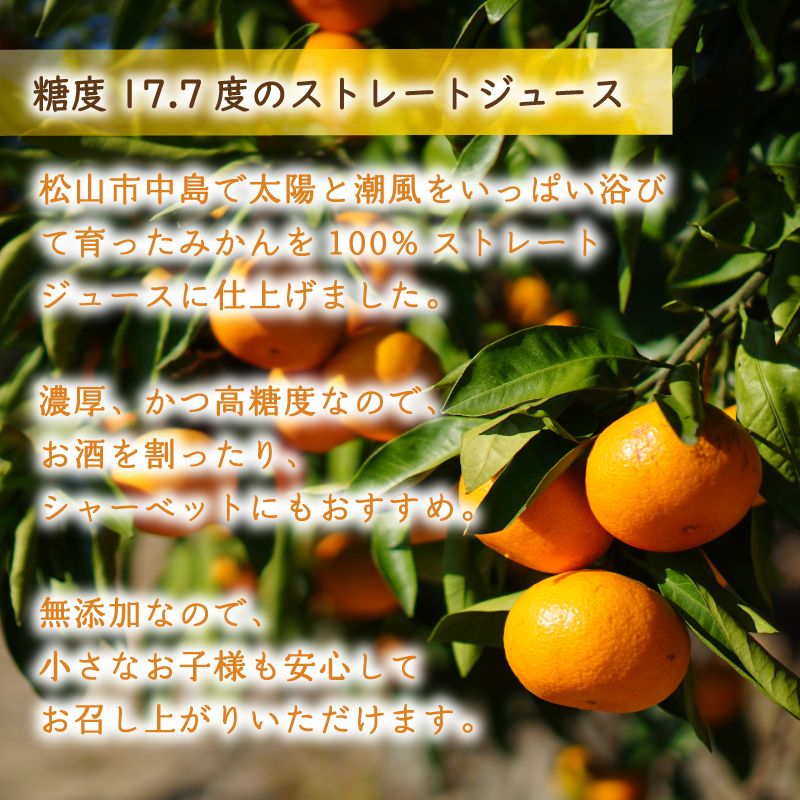 【2026年2月上旬から順次発送】温州みかんジュース 720ml × 12本 果汁100% 無添加 ストレートジュース 数量選択可 | みかんジュース 果汁100% みかんジュース ストレート 100% ジュース 無添加 柑橘 果汁飲料 みかんジュース NPO法人農音 愛媛県 松山市 中島 720ml×12本