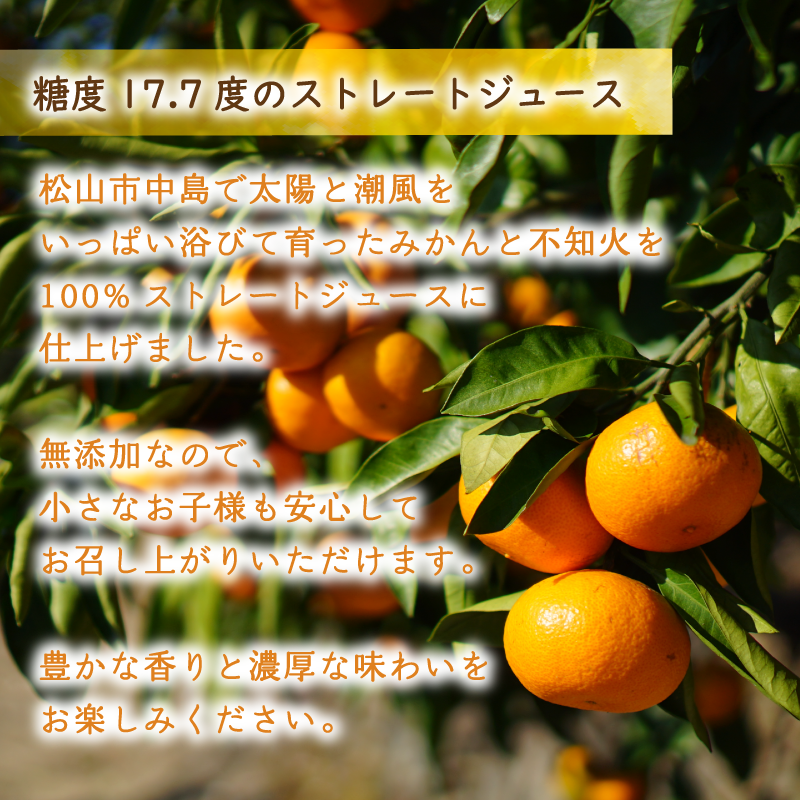 【贈答用】温州みかん×不知火ストレート果汁100％ジュースセット 720ml×2本セット（温州×１本、不知火×1本）