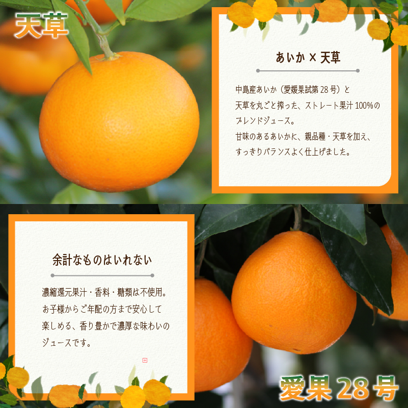 あいか＆天草ブレンド 果汁100％ ジュース 720ml×12本 | 愛果28号 紅まどんな と同品種 果汁100% 無添加 ストレートジュース 数量選択可 みかんジュース 果汁100% みかんジュース ストレート 100% ジュース 柑橘 果汁飲料 みかんジュース NPO法人農音 愛媛県 松山市 中島 12本