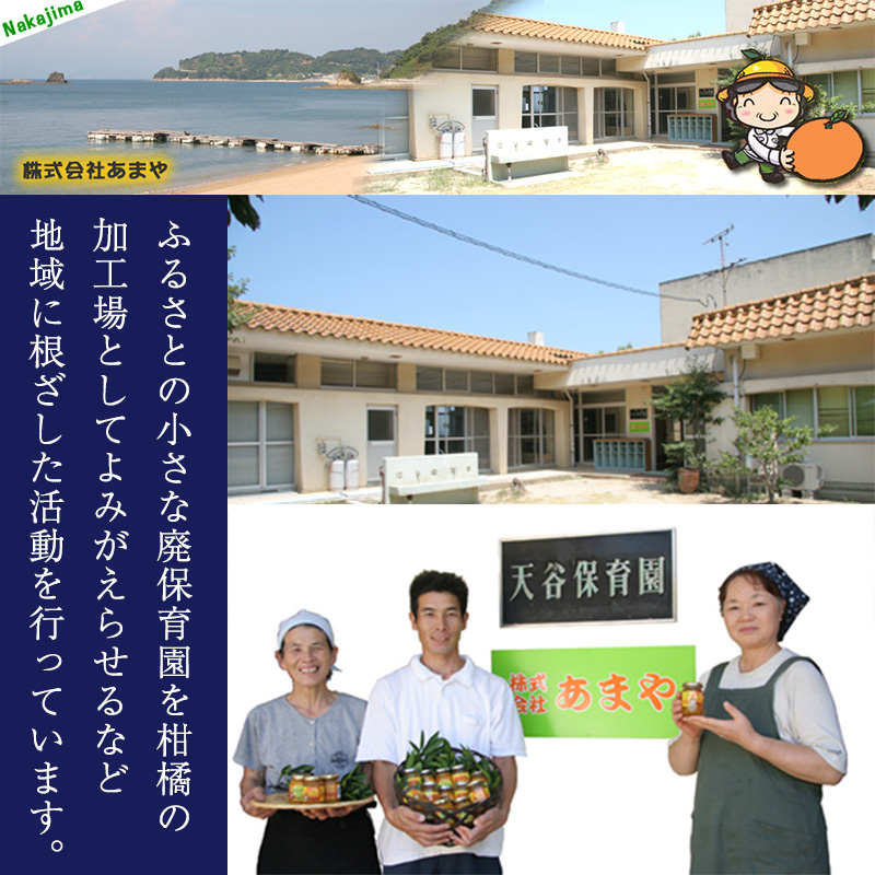 【特選】せとか 3kg 【あまや】 蜜柑 みかん 愛媛 松山 フルーツ 果物 かんきつ 柑橘 カンキツ ミカン mikan mican くだもの 3キロ 数量限定 期間限定 送料無料