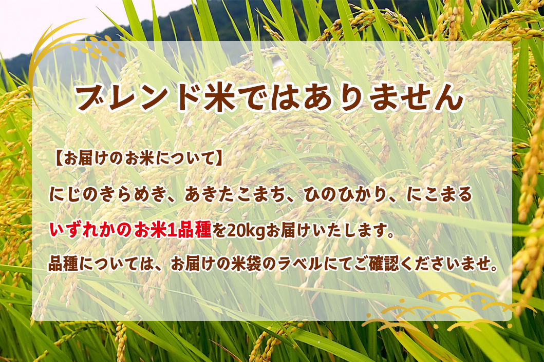 【2025年10月中旬から11月中旬頃発送予定】松山ふるさと米 愛媛県産 新米 20kg 精米 ｜産地直送 国産 白米 ブランド米 米 お米 期間限定 数量限定 ご当地 愛媛県 松山市 にじのきらめき ひのひかり あきたこまち にこまる