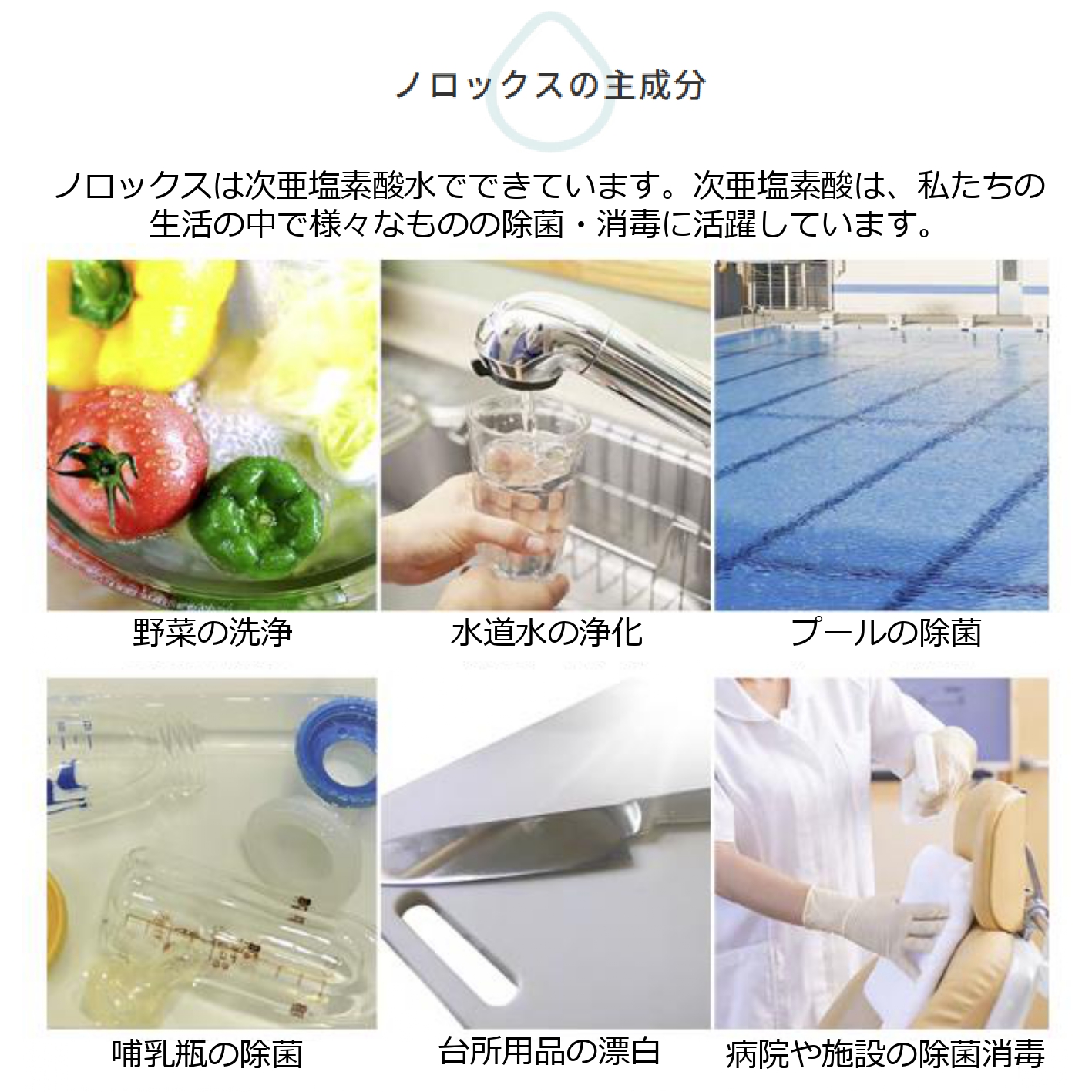 ノロックス norox お試しセット(ストレートタイプ) ｜ ノロックス ストレート 次亜塩素酸水 ミスト 除菌 消毒 消臭 消臭剤 花粉 ダニ 対策 弱酸性 肌に優しい 愛媛県 松山市 ストレートタイプ