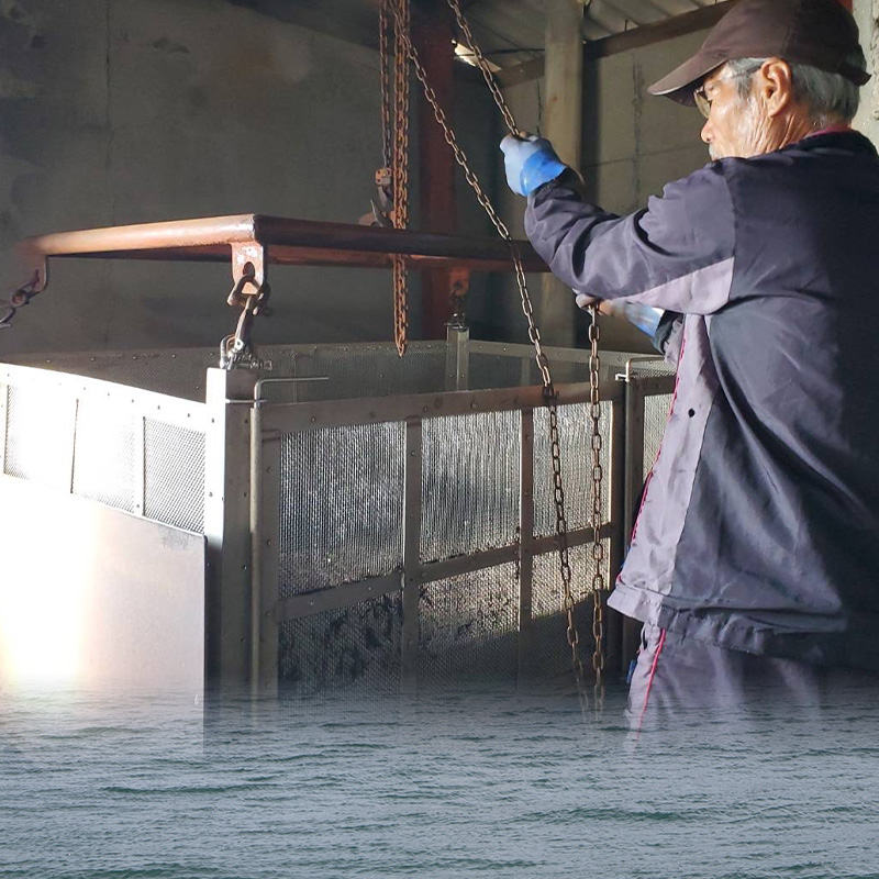 【秀品】 寒ひじき 100g | 国産ひじき 天然 ひじき 乾燥ひじき 海産物 海藻 寒ひじき 煮物 貴重 ひじき 無添加 無着色 ひじき サラダ 鉄分 鉄分豊富 ヒジキ ふりかけ 炊き込みご飯 離乳食 サラダ ハンバーグ 卵焼き 国産 瀬戸内 瀬戸内海 愛媛県 松山市  お取り寄せ グルメ お土産 ご当地 愛媛 松山 秀品ひじき