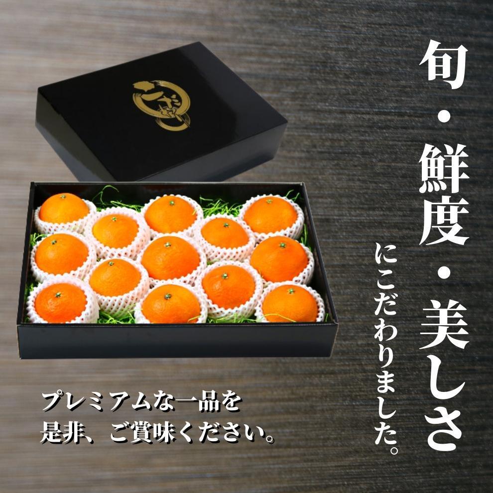 プレミアム 愛果28号 (紅まどんな と同品種) 化粧箱入 【2025年12月頃から順次発送】
