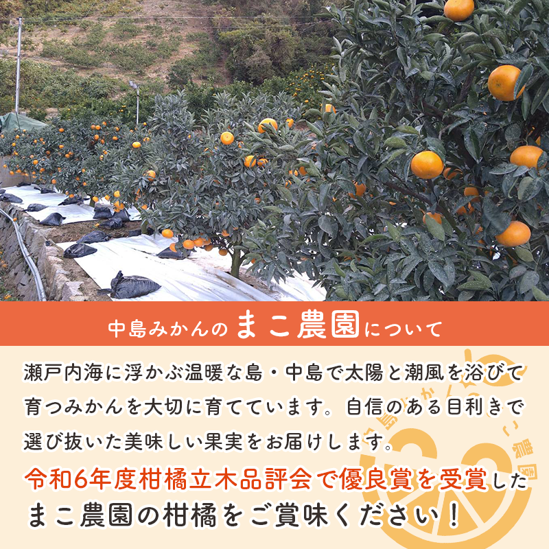 【先行予約】中島産 せとか 2.5kg 家庭用 中島みかんのまこ農園 | みかん ミカン オレンジ おれんじ せとか フルーツ 果物 くだもの 高級柑橘 愛媛県松山市 中島産 柑橘王様