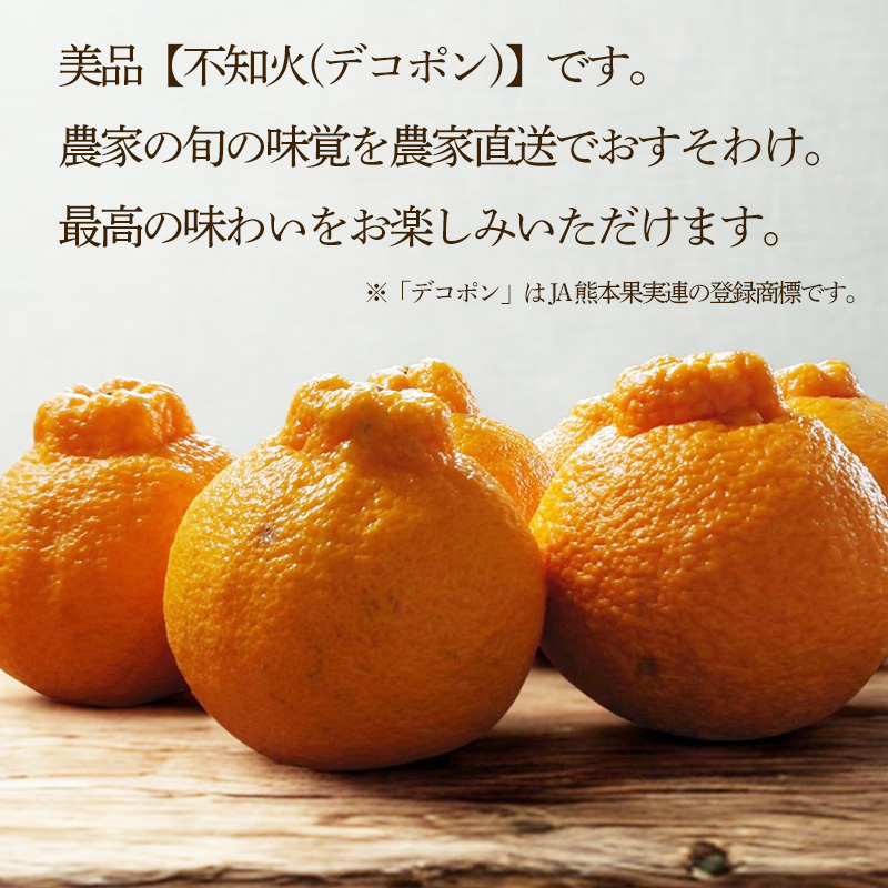 【先行予約】【3月上旬から発送】 不知火(デコポンと同一品種) 美品 約 2.5kg | 蜜柑 柑橘 みかん 果物 くだもの フルーツ おすすめ 高級 人気 お取り寄せ グルメ ギフト 期間限定 数量限定 ご当地 愛媛県 松山市