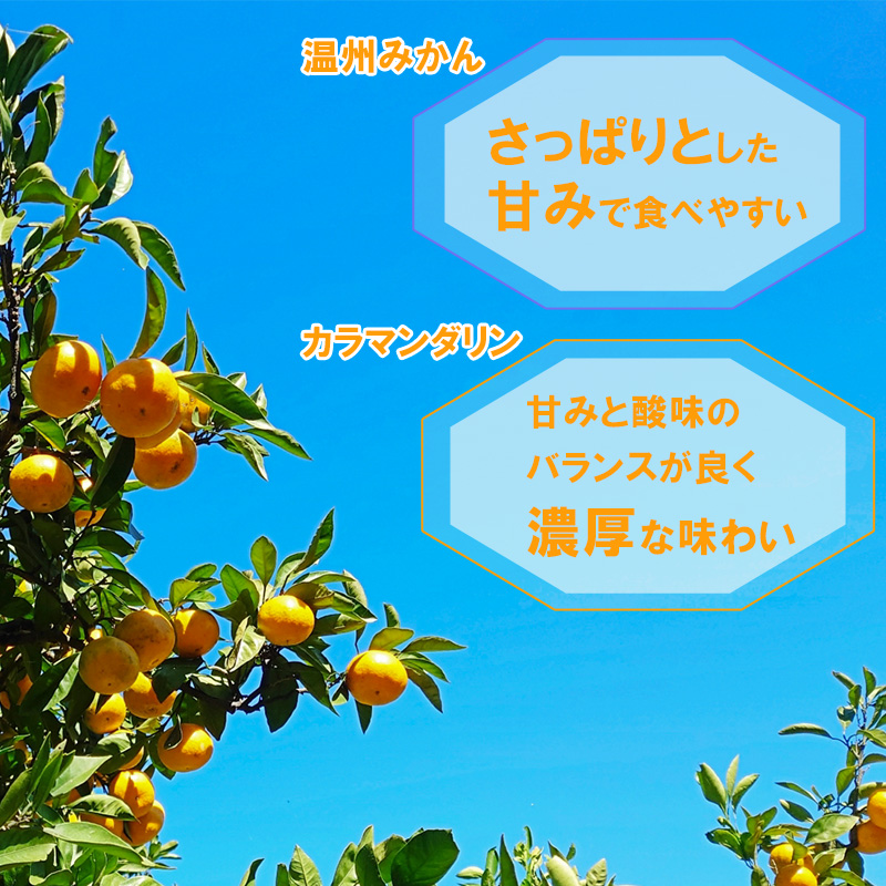 温州みかん 2本 カラマンダリン 1本 ストレート ジュース セット 【Aセット】【3本】 【Aセット】