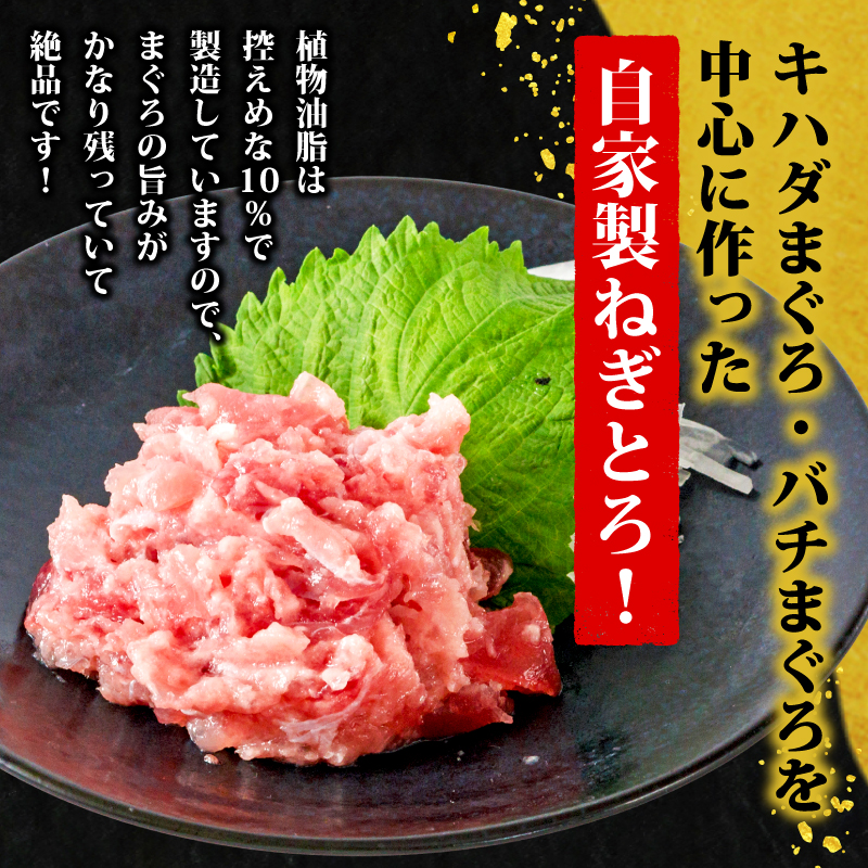 ネギトロ 100g×25パック (2.5kg) まぐろ 鮪 ねぎとろ 冷凍 魚 ねぎとろ,魚介,魚介類 ねぎとろ 海鮮丼 寿司 ねぎとろ丼 愛媛県 松山市 2.5kg ¥22,000
