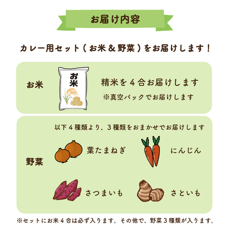 【先行予約】 野菜 米 セット カレー用 農薬不使用 自然栽培 | お米 野菜 里芋 玉ねぎ 人参 さつまいも 農薬 不使用 カレー カレーライス 期間限定 愛媛県 松山市