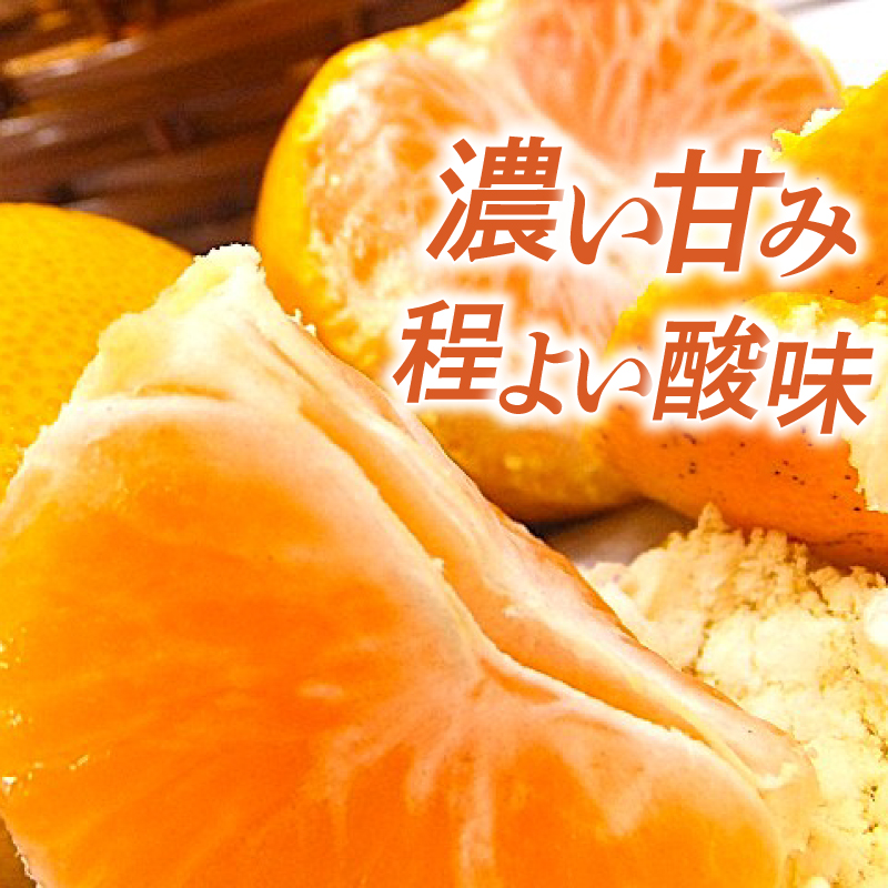 【年内発送】【2025年発送】 興居島みかん 約6kg（L～Sサイズ） 6kg(2ケース)