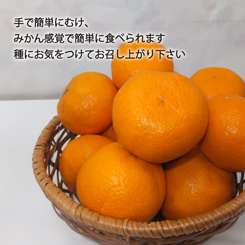 【先行予約】【2026年4月上旬～5月下旬頃順次発送】   カラマンダリン 2kg（2L～S）｜先行予約 カラマンダリン 柑橘 カラマンダリン 取り寄せ カラマンダリン 甘いみかん 春のみかん カラマンダリン ギフト カラマンダリン 愛媛県産 カラマンダリン ミカン みかん ミカン mikan 蜜柑 柑橘 フルーツ 果物 くだもの お取り寄せ 産地直送 数量限定 人気 おすすめ 送料無料 贈答 愛媛県 松山市