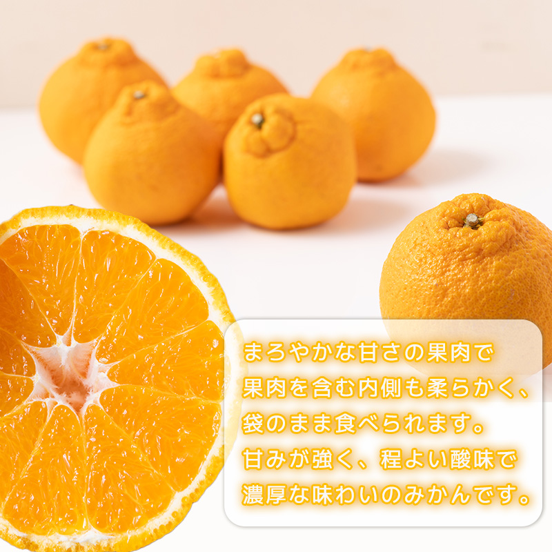 不知火 しらぬい 約5kg  家庭用【2月下旬から順次発送】でこぽんと同品種