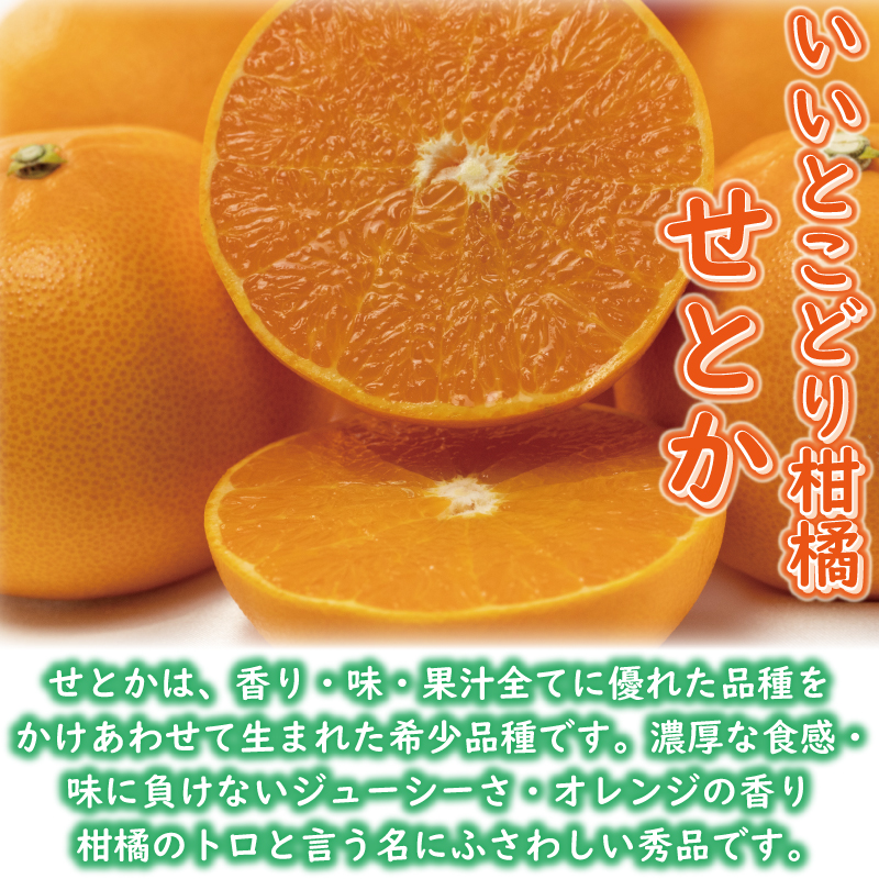 訳あり みかん 家庭用 せとか 約2㎏( 訳あり みかん 訳あり柑橘 訳あり商品 せとか みかん 柑橘 松山 愛媛県 ) 約2kg ¥5,000