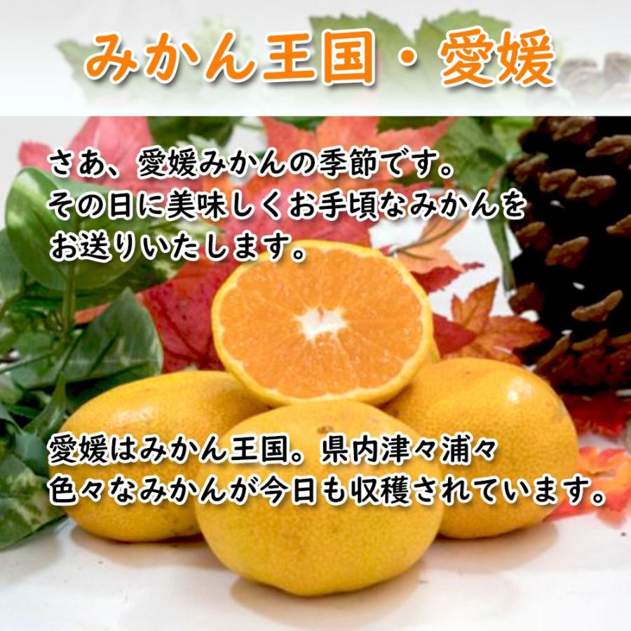 中島みかん 約2㎏ ( 訳あり みかん 訳ありみかん 訳あり商品 みかん 訳ありみかん 柑橘 松山 愛媛県 )