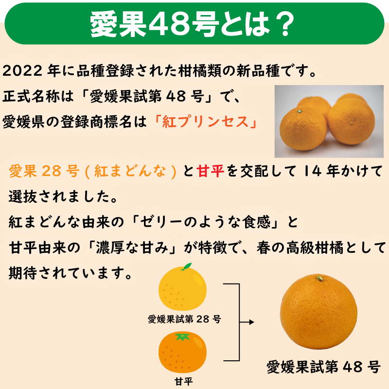 訳あり 愛果48号 2kg 柑橘 果物 くだもの フルーツ みかん ミカン mikan mican 不揃い 傷 ワケアリ 訳アリ 愛媛県 松山市