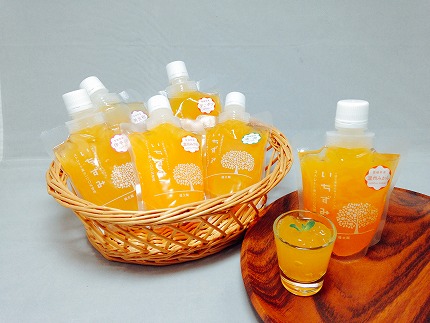 本格かんきつジュレ「いちずみ」12個入り（簡易BOX入り）