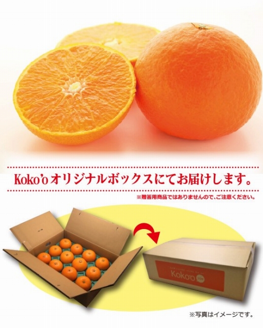 【11月中旬から発送】 愛果28号 優品(家庭用) 約3kg | 愛果28号 愛果28号 愛果28号 愛果28号 愛果28号