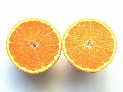 【先行予約】【2026年2月上旬から発送】不知火(しらぬい)＜家庭用・優品＞約2.5kg