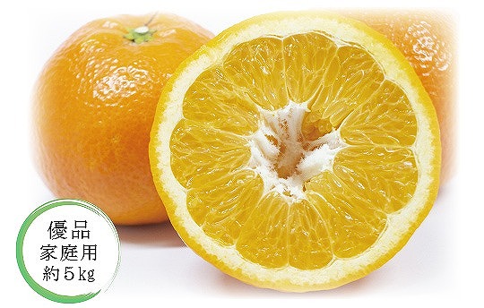 【先行予約】【2026年1月中旬から発送予定】いよかん＜優品・家庭用＞約5kg