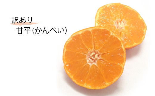 【1月下旬から発送】＜訳あり＞甘平(かんぺい) 約3kg