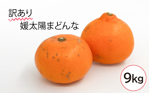 【11月中旬から発送予定】＜訳あり＞愛果28号 約９kg