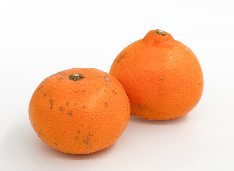 【1月下旬より発送】＜訳あり＞ せとか 約3kg