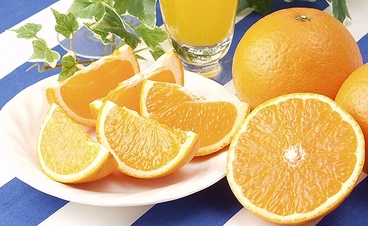 清見タンゴール 4kg 【2026年4月上旬から発送予定】 愛媛 中島産 | みかん 柑橘 みかん 清見 タンゴール みかん 清見 みかん 柑橘 希望の島