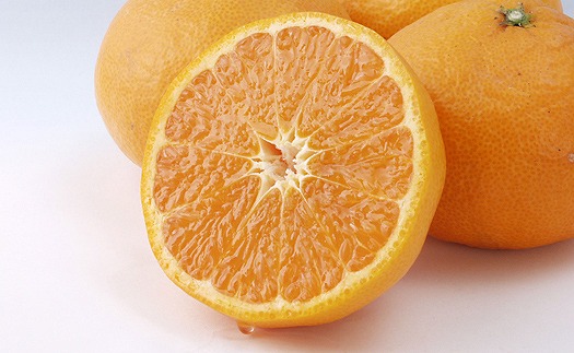 【2026年5月上旬から発送予定】完熟春みかん カラマンダリン 3kg M~2Lサイズ 3kg ¥11,000