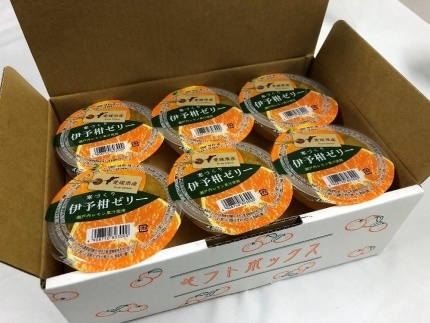 寒づくり伊予柑ゼリー 12個入り