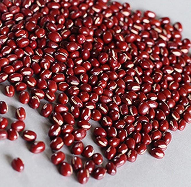 【松山老舗和菓子店】こいずみの大判焼［つぶあん］［白あん］各４個入