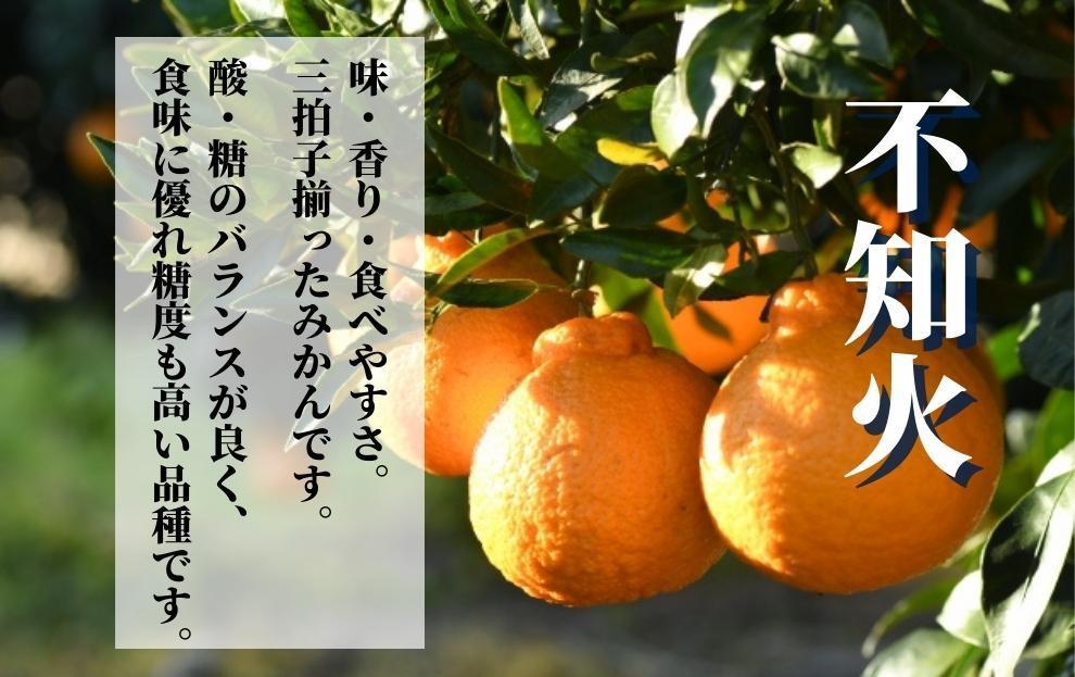 【不知火】良品約2.5kg ＜2026年2月末～4月頭頃発送＞