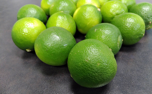 ライム 国産 1kg 小玉～中玉【10月上旬から発送予定】  | 柑橘 ライム  ライム 柑橘 中島 ライム 柑橘 ライム  ライム 愛媛県産 ライム 柑橘 ライム  ライム