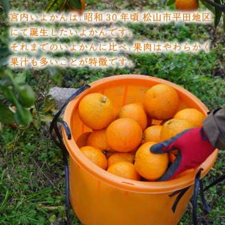 【2026年1月上旬から順次発送】 宮内いよかん 4kg 数量選択可 いよかん 伊予柑 みかん 数量限定 みかん 愛媛県産 みかん いよかん 伊予柑 松山市 みかん 中島 みかん いよかん 伊予柑 みかん 蜜柑 いよかん 伊予柑 イヨカン みかん いよかん 伊予柑 愛媛県 松山市 4kg ¥7,000