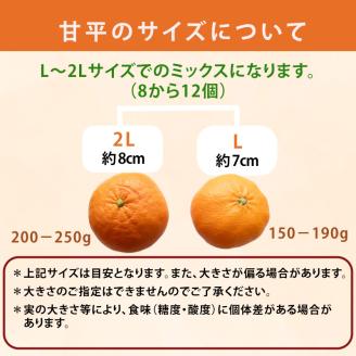 【2024年1月下旬から発送】 甘平 かんぺい ◯等級から優級 約2kg L-2L 8から12個【ID002】