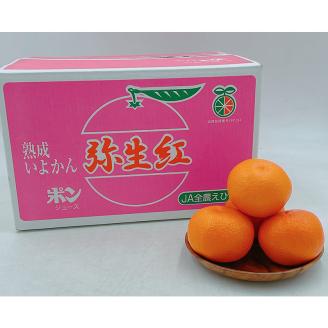 愛媛県産 伊予柑（弥生紅） L～2Lサイズ 10kg 愛媛県 松山市