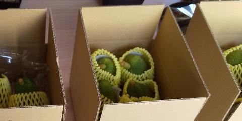 家庭用アボカド1.2Kg（松山市産/品種おまかせ）