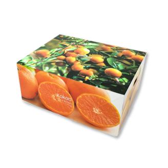 【2026年4月上旬頃から発送予定】カラマンダリン ＜秀品＞ 約3kg (M-L) ギフトBOX入り | みかん カラマンダリン 秀品 オレンジ 柑橘 贈答箱 愛媛県 松山市 ココオ Koko'o