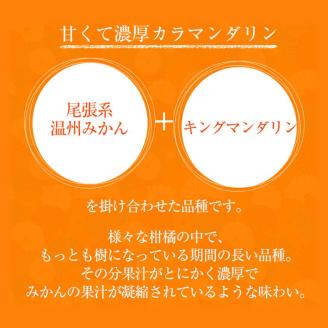 【先行予約】 カラマンダリン 愛媛県産 みきゃん箱 12玉 or 15玉 柑橘 みかん 贈答 可愛い 愛媛県 松山市