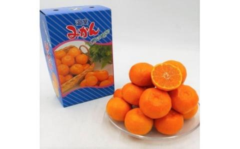 【先行予約】 8月下旬から発送 ハウスみかん 2SからSサイズ 2.5kg （愛媛県産 みかん 蜜柑 オレンジ 柑橘 果物 フルーツ 家庭用 お取り寄せ おすすめ 愛媛県 松山市 ） 2.5kg