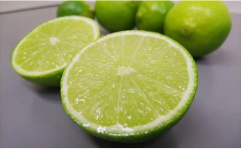 【希望の島】 ライム果汁 150ml × 6本 | 果汁100％ 飲料 果汁飲料 ライム果汁100％ セット らいむ ライム ドリンク ストレート ライムジュース ライムサワー らいむじゅーす らいむさわー 採れたて 皮ごと フルーツ 果物 お酒 サワー 炭酸 焼酎 ご当地 お土産 人気 おすすめ お取り寄せ グルメ ギフト 希望の島 中島 愛媛県中島 国産 愛媛県 松山市