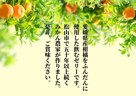 【おまかせ10種】飲むみかんゼリー 詰め合わせ　 みかん 人気 ギフト 愛媛 松山 贈答 プレゼント ゼリー ジュース のみくらべ 飲み比べ みかん 詰め合わせ 蜜柑 柑橘 果物 くだもの フルーツ お取り寄せ おすすめ 愛媛県 松山市