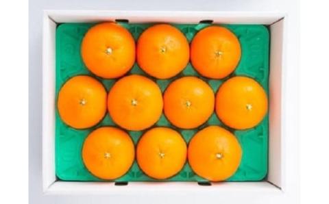 【11月下旬から発送】  紅まどんな【JAえひめ中央】青秀 3Lから4Lサイズ 大玉 化粧箱