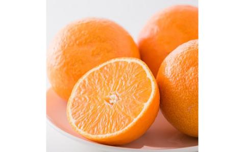 【11月下旬から発送】  紅まどんな＆紅まどんなゼリーのセット