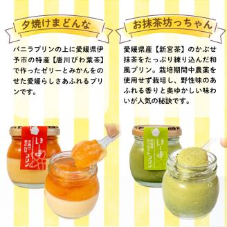 愛媛のプリンセット 6本入