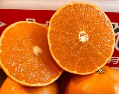 【2月下旬頃より発送】 先行予約 せとか 約 2.5kg 家庭用 みかん 柑橘 果物 フルーツ 松山市 愛媛県