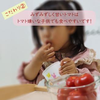 【2024年11月から発送】日高農園水耕栽培のミニトマト3kg