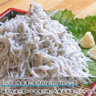 【定期便】松山海鮮セット 鯛の漬け丼 しらす ねぎとろ 愛媛県 松山市 海鮮 魚介 新鮮ねぎとろ,まぐろ,ねぎとろ