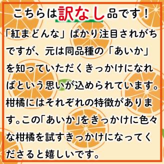 訳なし！ あいか 愛果28号 約5kg ＜11月中旬～発送＞ みかん 柑橘 フルーツ 個包装 果物 愛媛 松山