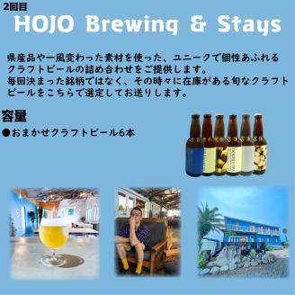【全4回】松山クラフトビール定期便 愛媛県 松山市 クラフトビール