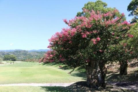 ゴルフ 【土日祝日】奥道後ゴルフクラブゴルフプレー無料券（1名分）イベント 体験 ゴルフ アウトドア スポーツ 愛媛県松山市 愛媛県 松山市 愛媛 松山 常温 常温便 常温配送 常温発送